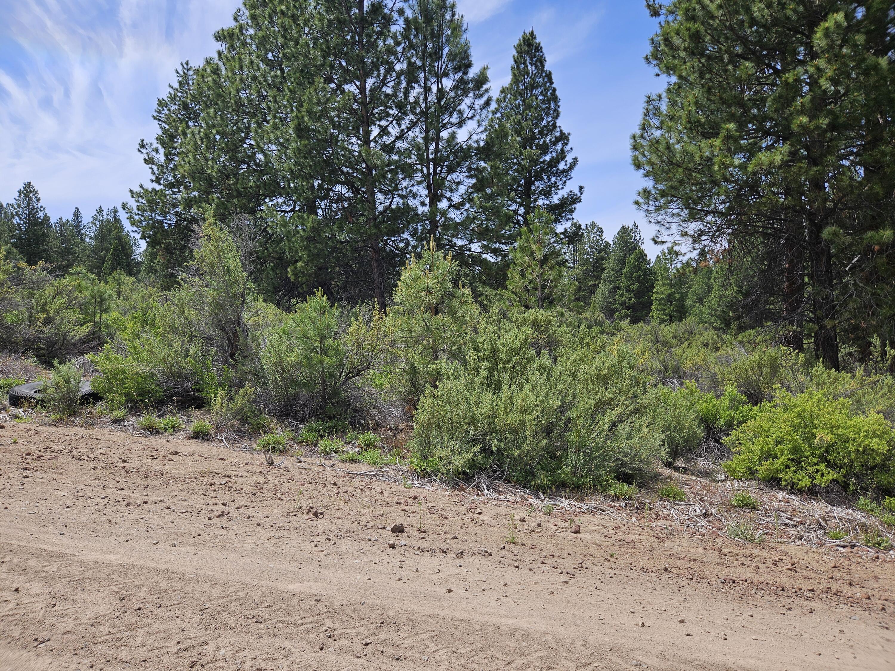 0 Pine Ridge Loop, Unit LOT 7 Chiloquin, OR 97624 - Photo 3 of 5 a view of a dirt road with trees in the background