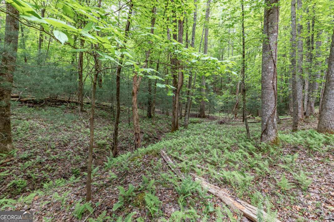 Lot 17 Lower Gap Road, Unit 17 Sautee Nacoochee, GA 30571 - Photo 11 of 39 a view of outdoor space and green space