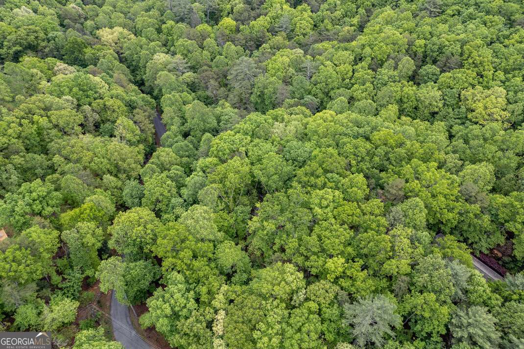 Lot 17 Lower Gap Road, Unit 17 Sautee Nacoochee, GA 30571 - Photo 18 of 39 a view of a large yard with lots of green space