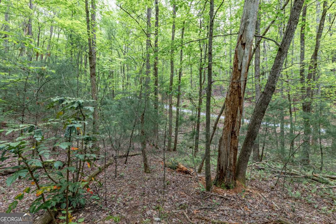 Lot 17 Lower Gap Road, Unit 17 Sautee Nacoochee, GA 30571 - Photo 20 of 39 a view of outdoor space and green space