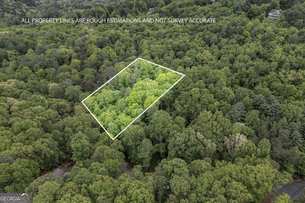 Lot 17 Lower Gap Road, Unit 17 Sautee Nacoochee, GA 30571 - Photo 2 of 39 an aerial view of a house with a yard