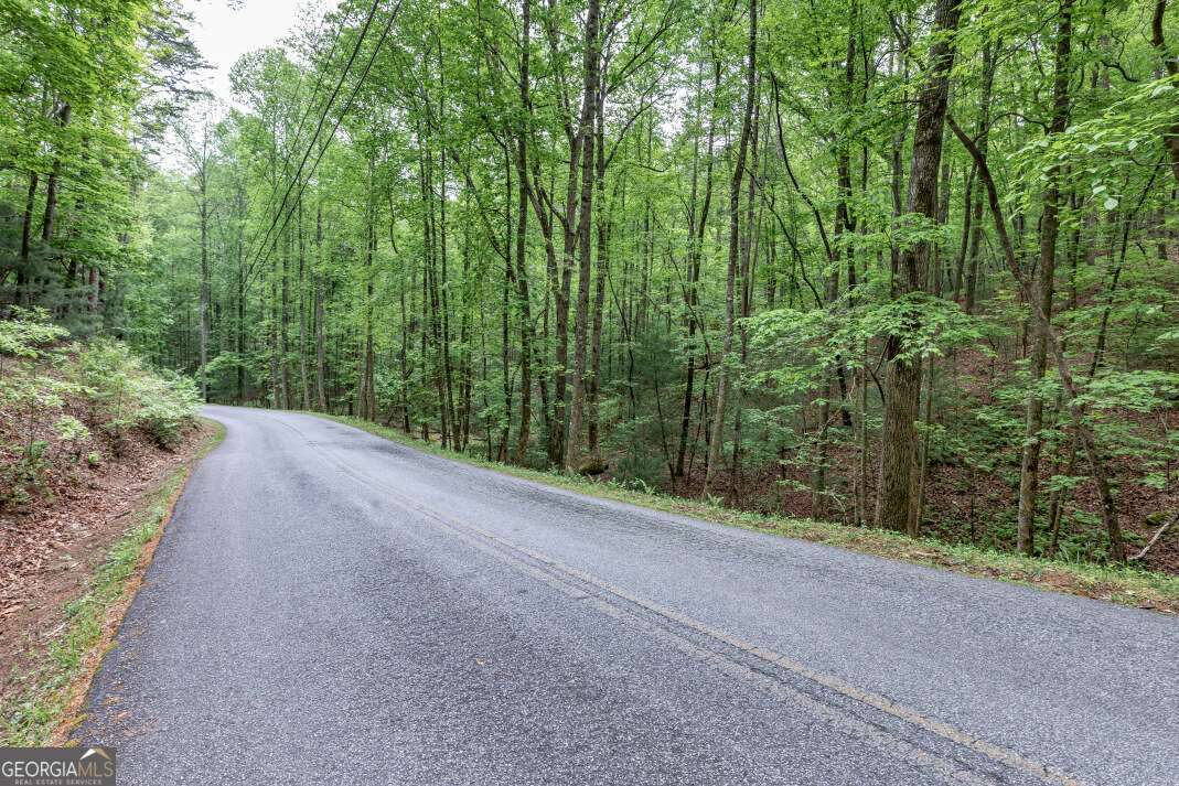 Lot 17 Lower Gap Road, Unit 17 Sautee Nacoochee, GA 30571 - Photo 21 of 39 a view of a garden with trees