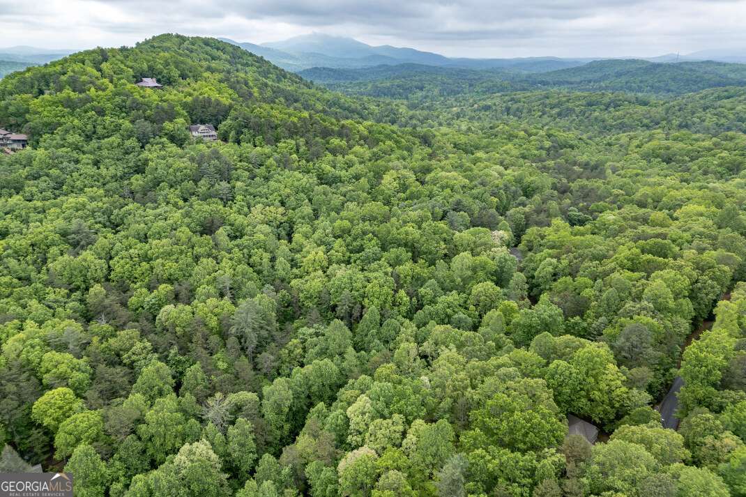 Lot 17 Lower Gap Road, Unit 17 Sautee Nacoochee, GA 30571 - Photo 24 of 39 a view of a green field with lots of bushes