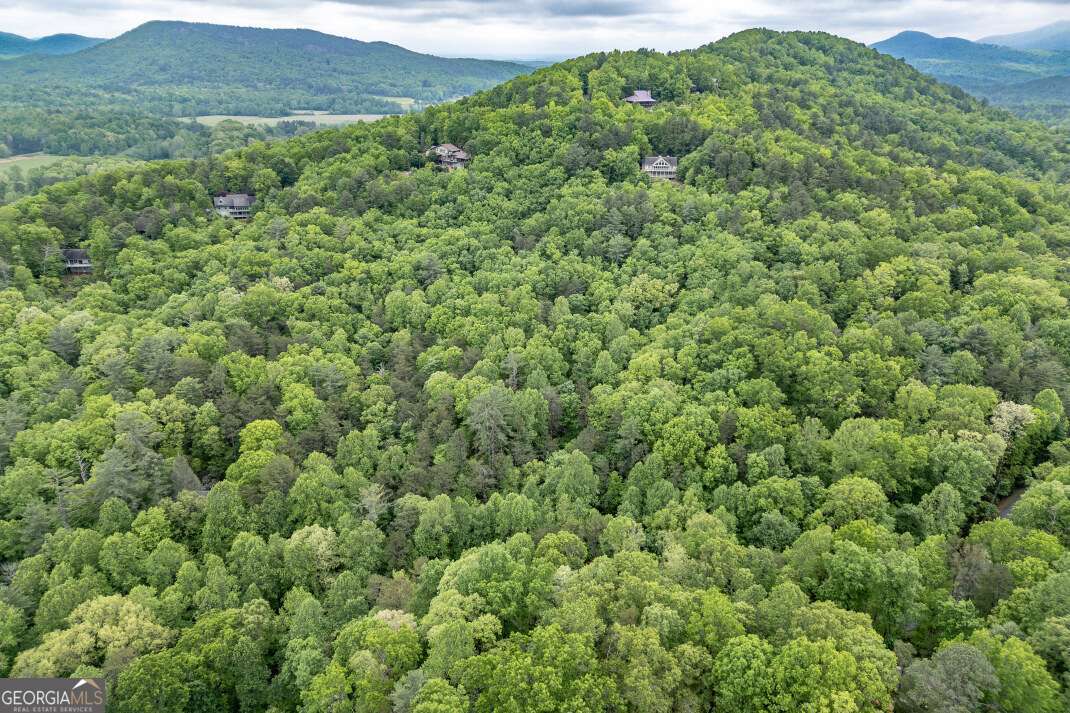 Lot 17 Lower Gap Road, Unit 17 Sautee Nacoochee, GA 30571 - Photo 25 of 39 a view of a lush green forest with trees and some houses