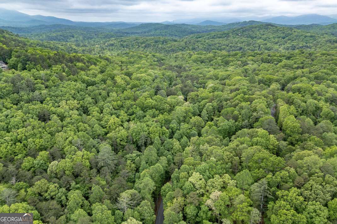 Lot 17 Lower Gap Road, Unit 17 Sautee Nacoochee, GA 30571 - Photo 26 of 39 a view of a green field with lots of bushes