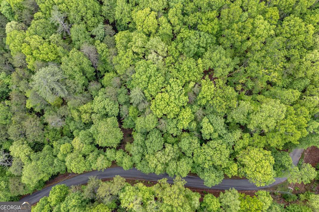 Lot 17 Lower Gap Road, Unit 17 Sautee Nacoochee, GA 30571 - Photo 27 of 39 a view of a yard