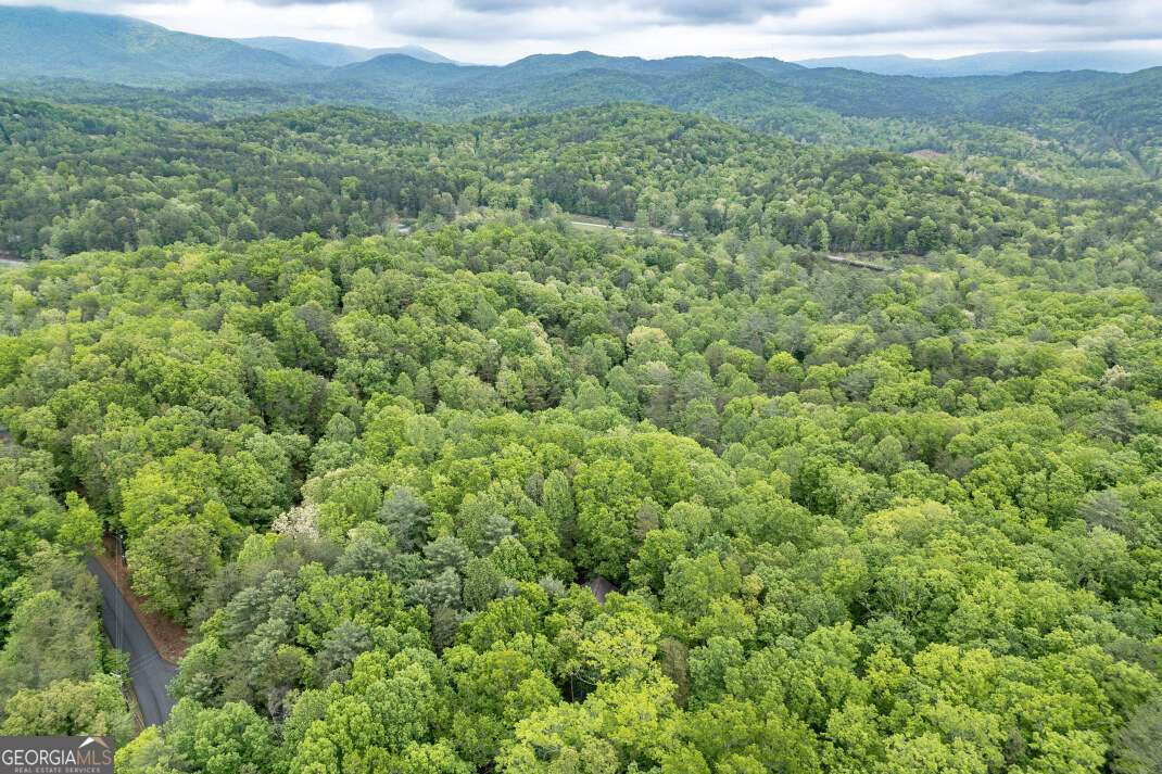 Lot 17 Lower Gap Road, Unit 17 Sautee Nacoochee, GA 30571 - Photo 28 of 39 a view of a green field with lots of bushes
