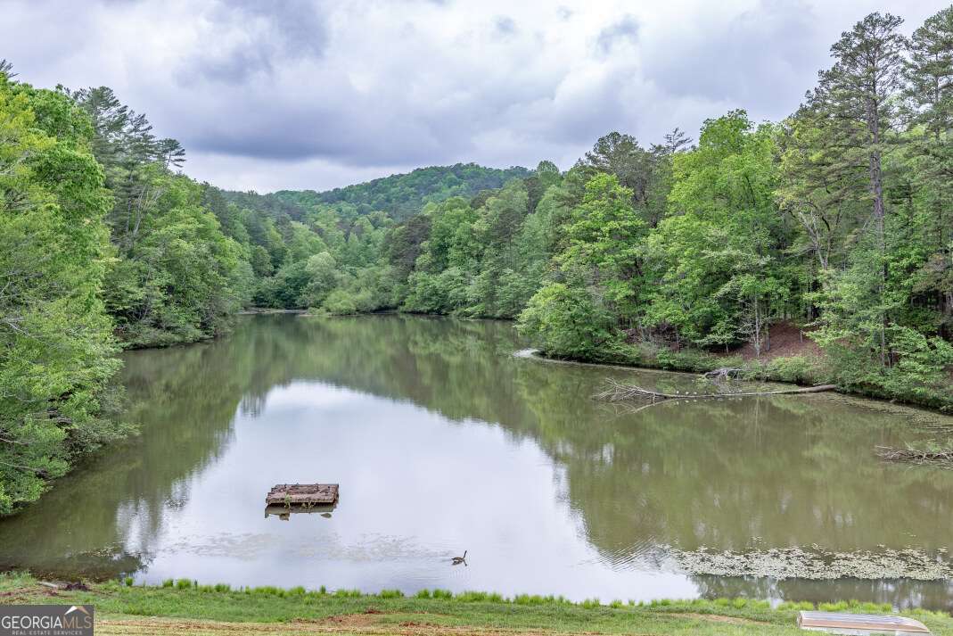 Lot 17 Lower Gap Road, Unit 17 Sautee Nacoochee, GA 30571 - Photo 33 of 39