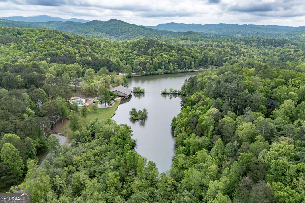 Lot 17 Lower Gap Road, Unit 17 Sautee Nacoochee, GA 30571 - Photo 35 of 39 an aerial view of green landscape with trees houses and mountain view