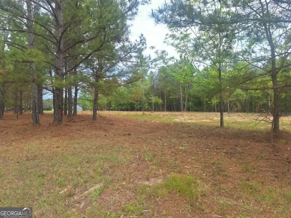 $64,000 | 0 Cv Mosley Boulevard, Lyons, GA 30436
