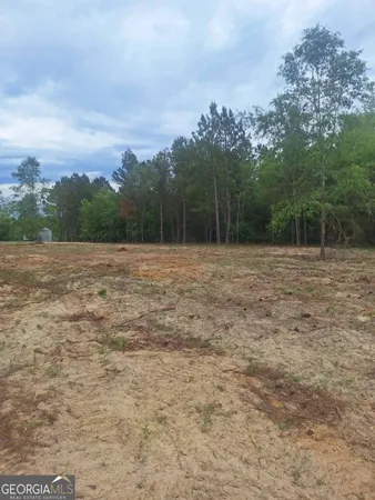 $64,000 | 0 Cv Mosley Boulevard, Lyons, GA 30436