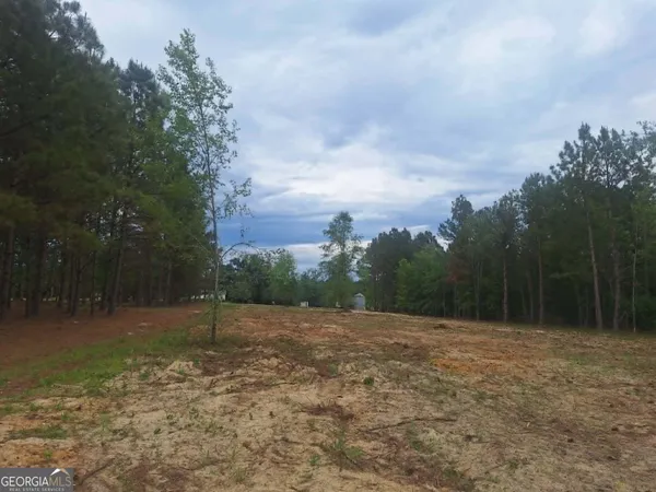 $64,000 | 0 Cv Mosley Boulevard, Lyons, GA 30436