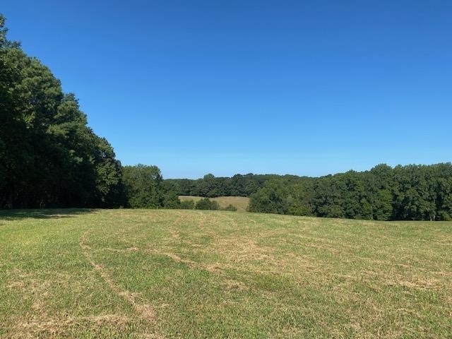 0 Happy Hollow Roopville, GA 30170 - Photo 1 of 1 a view of a field with a tree