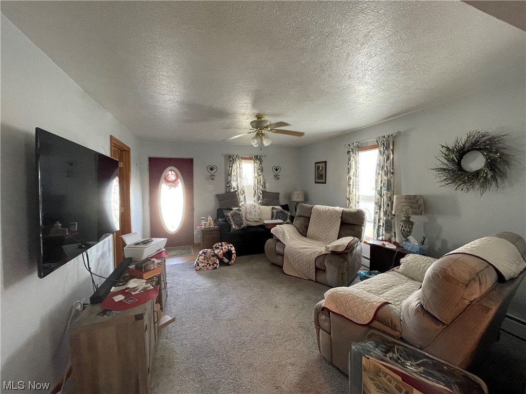 4452 Maple Street Perry, OH 44081 - Photo 9 of 15 Gallery Image 9