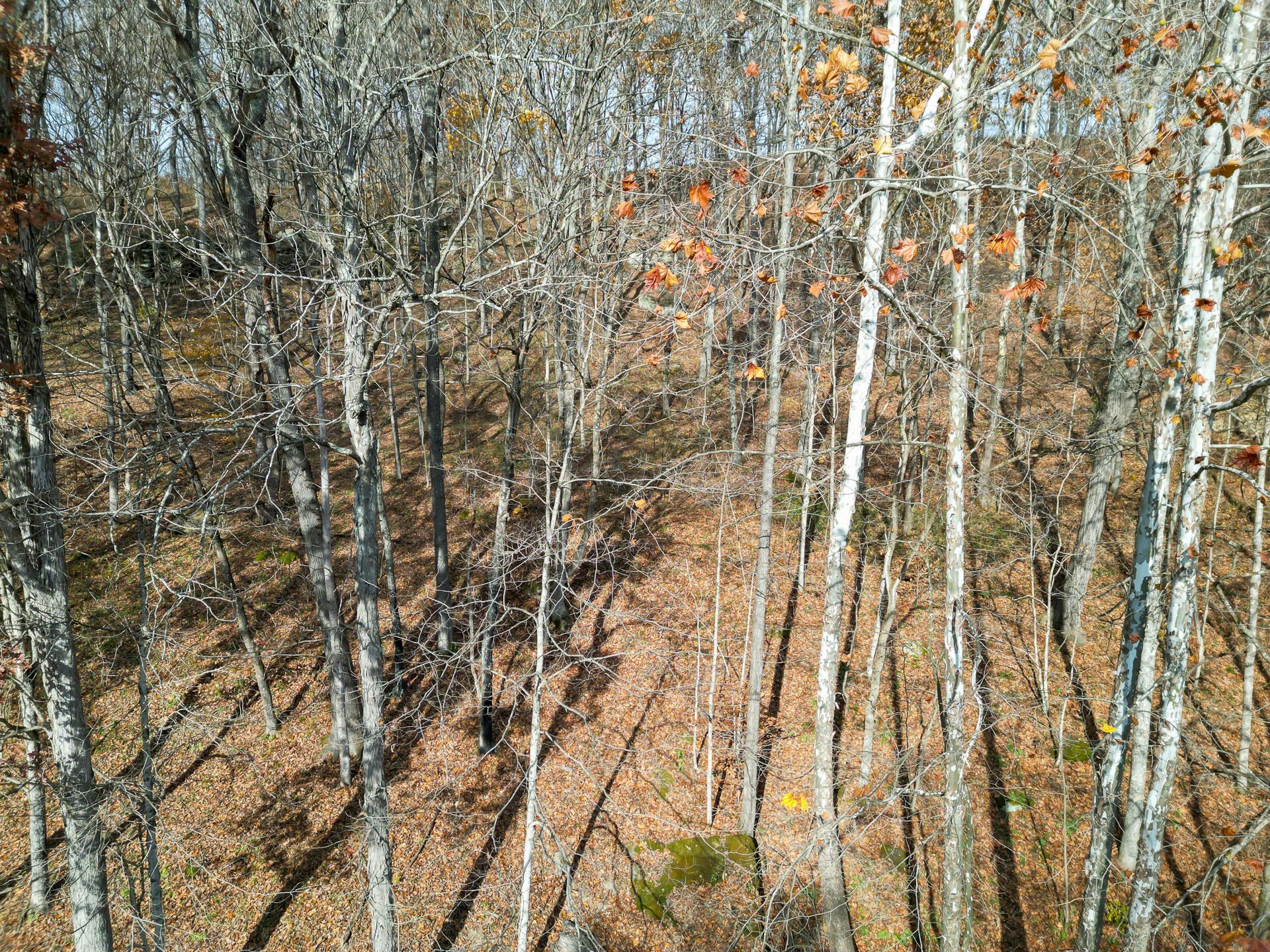0 Keystone Road, Unit CREEKVIEW CABIN) Vinton, OH 45686 - Photo 74 of 95 CT-74