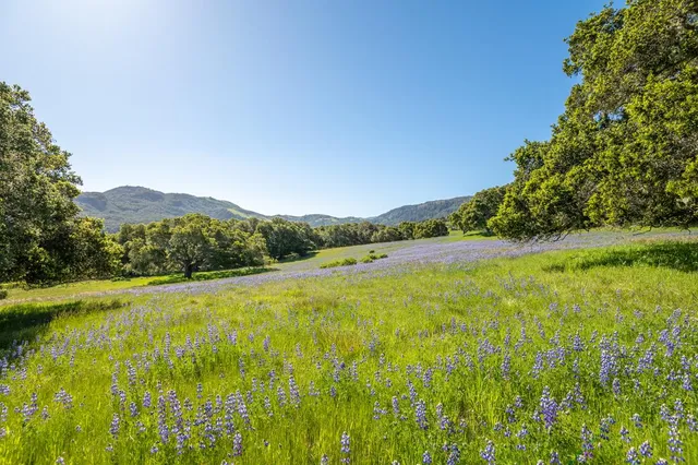 $1,650,000 | 9 Mesa Trail, Carmel, CA 93923