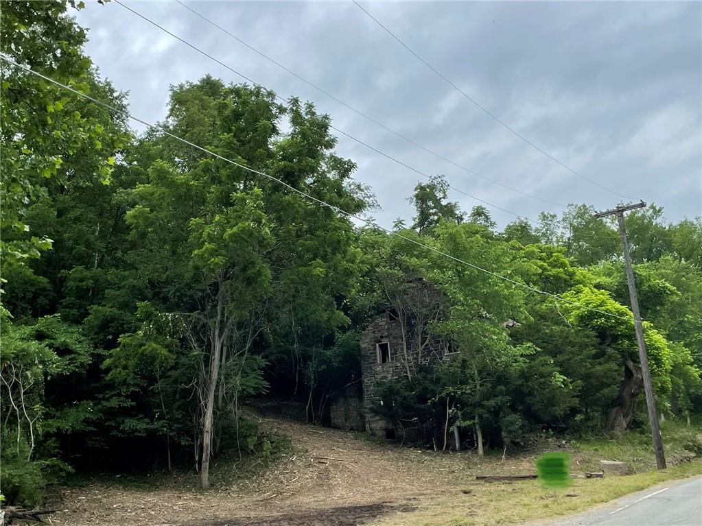 609 Laureldale Road Grindstone, PA 15442 - Photo 5 of 10 a backyard of a house with lots of green space