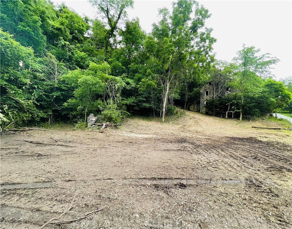 609 Laureldale Road Grindstone, PA 15442 - Photo 7 of 10 a view of outdoor space with trees
