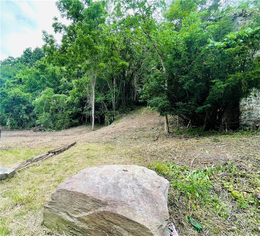 609 Laureldale Road Grindstone, PA 15442 - Photo 9 of 10 a view of a backyard with a trees