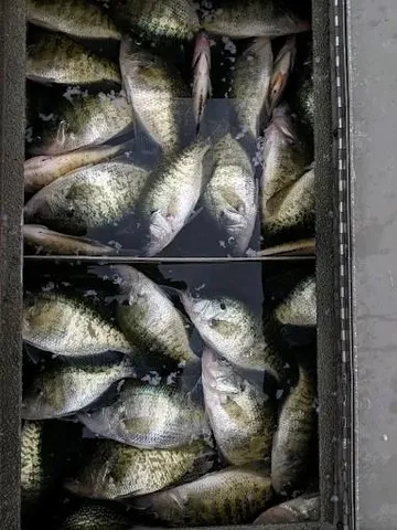 $749,900 | 14980 North Orleans Trail, Stockton, MO 65785