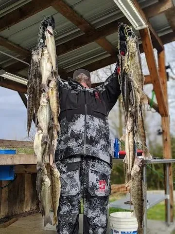 $749,900 | 14980 North Orleans Trail, Stockton, MO 65785