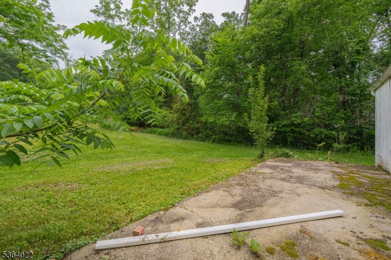 79 Mountain Lake Road Belvidere, NJ 07823 - Photo 41 of 47 a view of a yard with a trees
