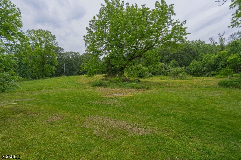 79 Mountain Lake Road Belvidere, NJ 07823 - Photo 42 of 47 a view of a grassy field with trees