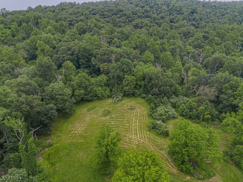79 Mountain Lake Road Belvidere, NJ 07823 - Photo 45 of 47 a view of a lake view with green space