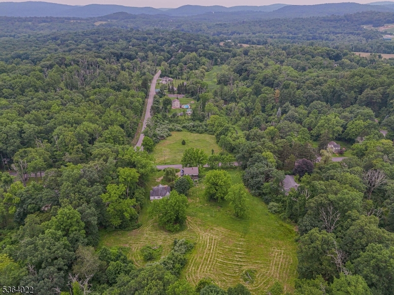 79 Mountain Lake Road Belvidere, NJ 07823 - Photo 46 of 47 a view of a lush green field with lots of trees in it