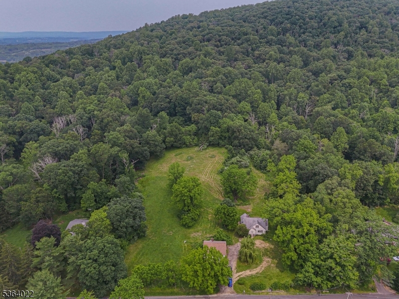 79 Mountain Lake Road Belvidere, NJ 07823 - Photo 6 of 47 a view of a forest with a street