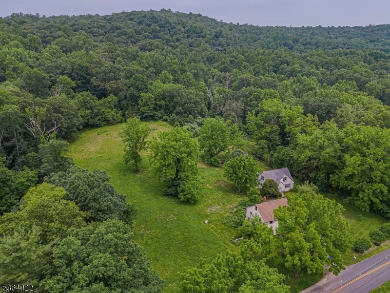 79 Mountain Lake Road Belvidere, NJ 07823 - Photo 8 of 47 a view of a forest with a street