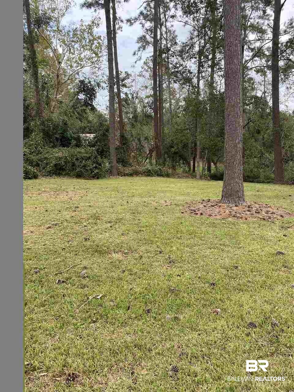 307 Marcella Avenue Daphne, AL 36527 - Photo 2 of 2 Large Back Yard