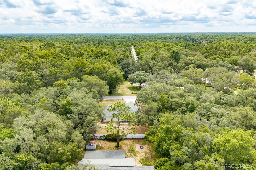 134 South Fitzpatrick Avenue Inverness, FL 34453 - Photo 38 of 45