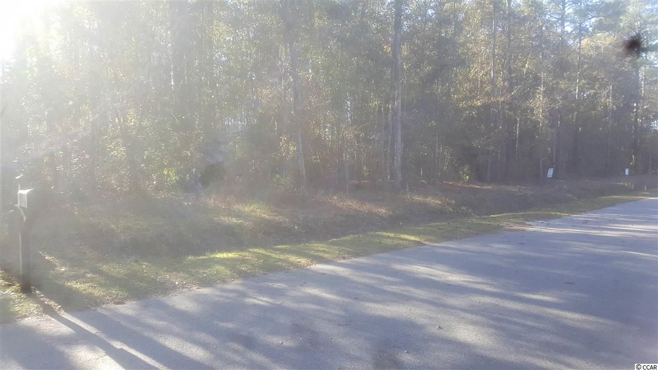 Lot 8 Carolina Wren Road Conway, SC 29527 - Photo 4 of 4 Gallery Image 4