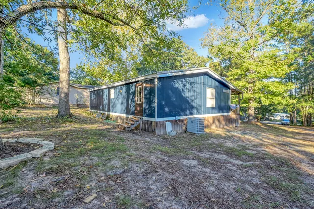 a view of backyard with small cabin