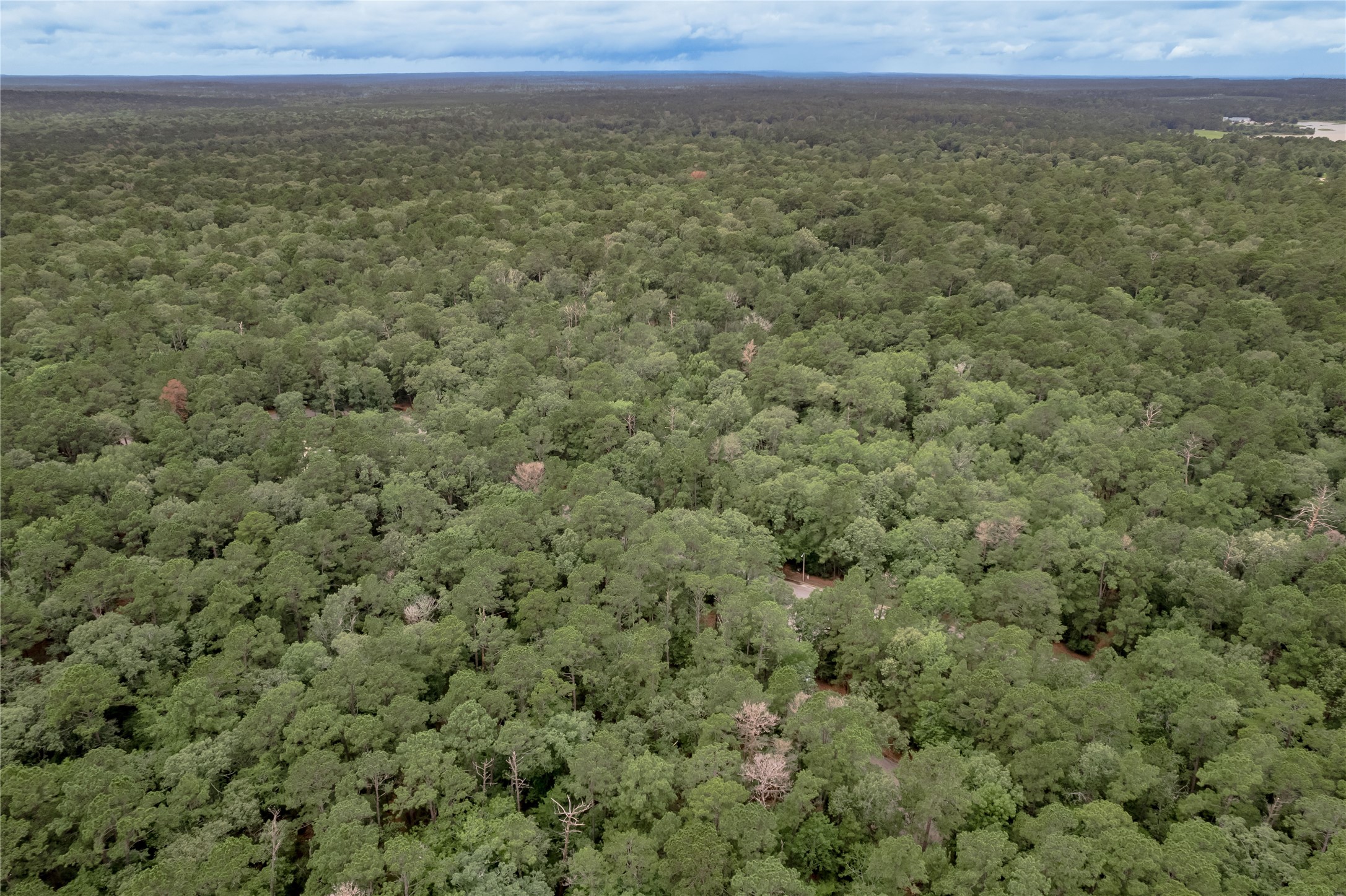 Lot 9 Rohm Place Point Blank, TX 77364 - Photo 21 of 26