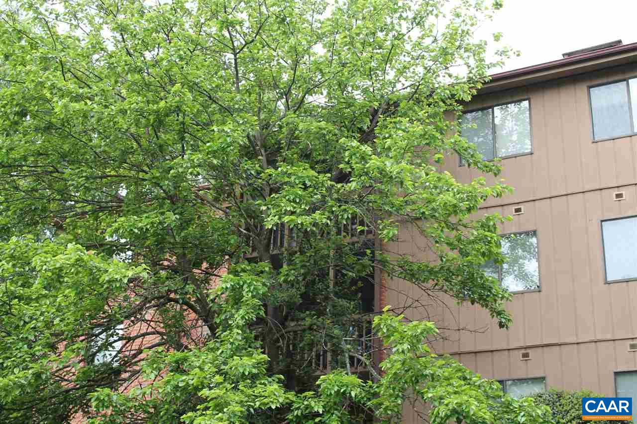 101 Turtle Creek Road, Unit 6 Charlottesville, VA 22901 - Photo 2 of 5 a view of a house with a tree