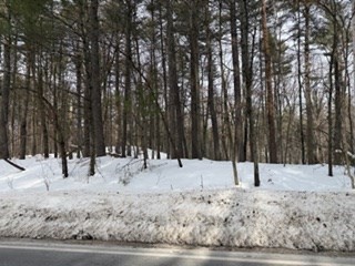 Lot B Willow Road Boxford, MA 01921 - Photo 2 of 3 a view of a yard covered in snow