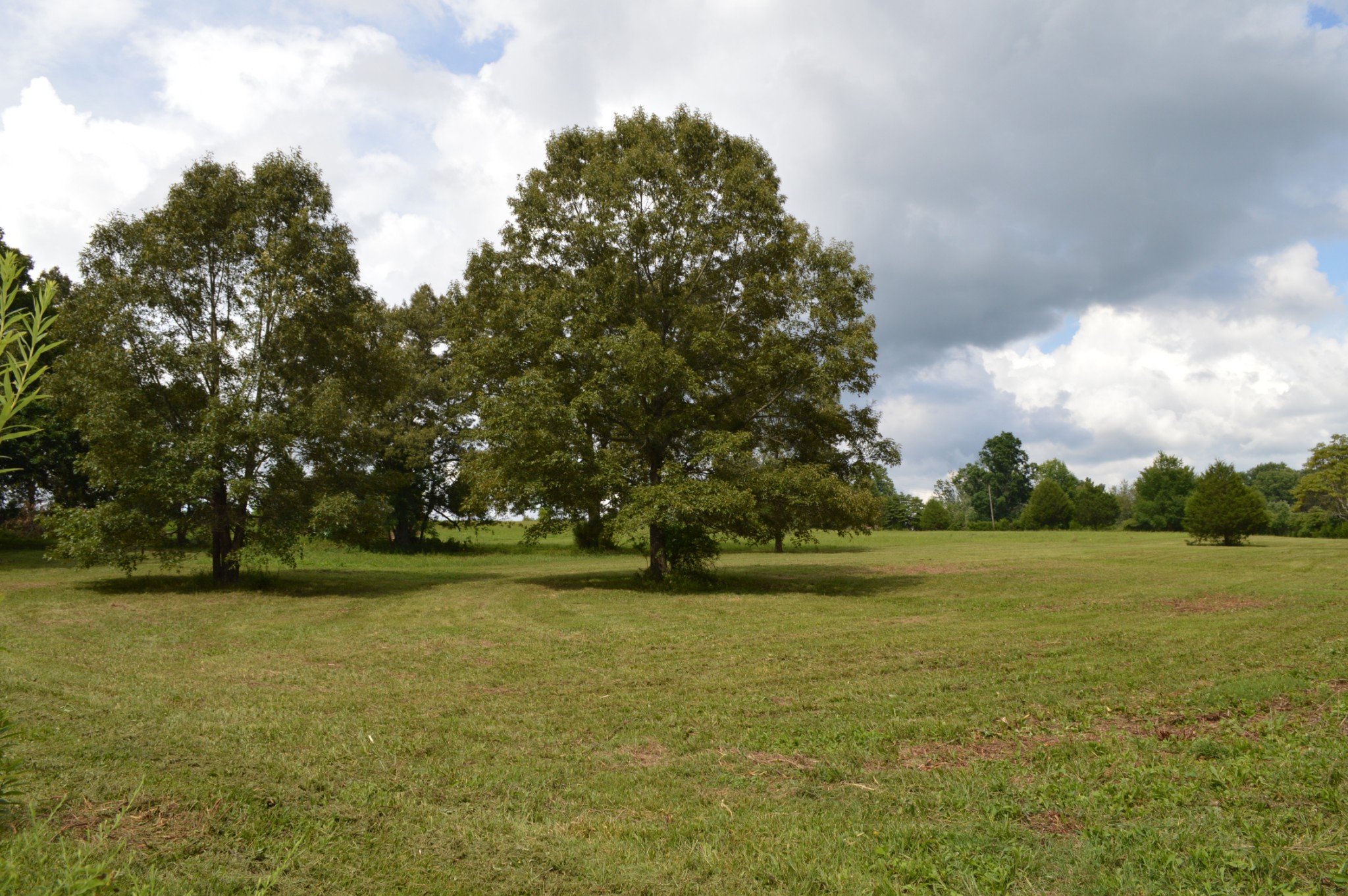 391 South Road Cottontown, TN 37048 - Photo 1 of 5 Gallery Image 1