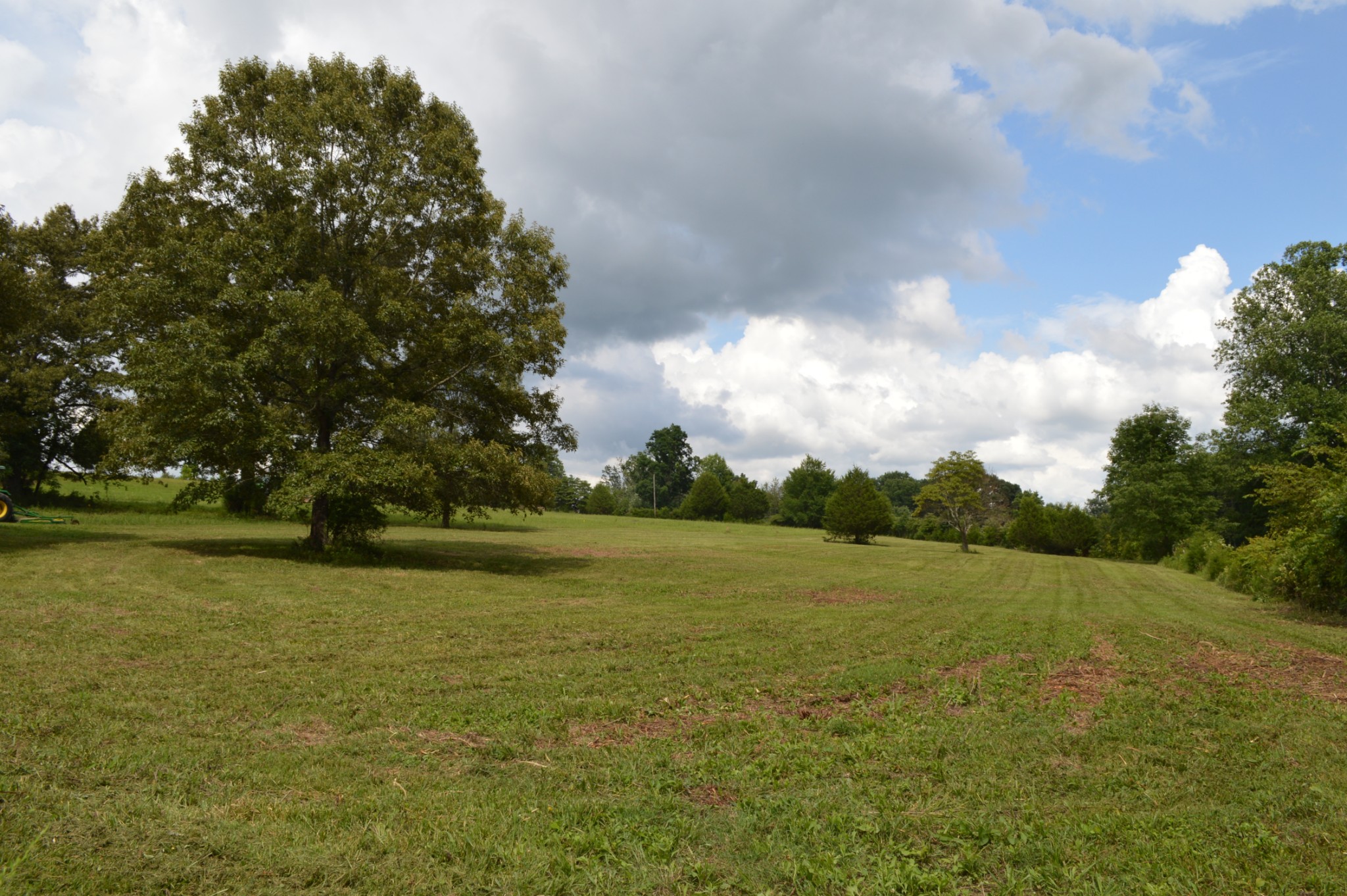391 South Road Cottontown, TN 37048 - Photo 3 of 5 Gallery Image 3