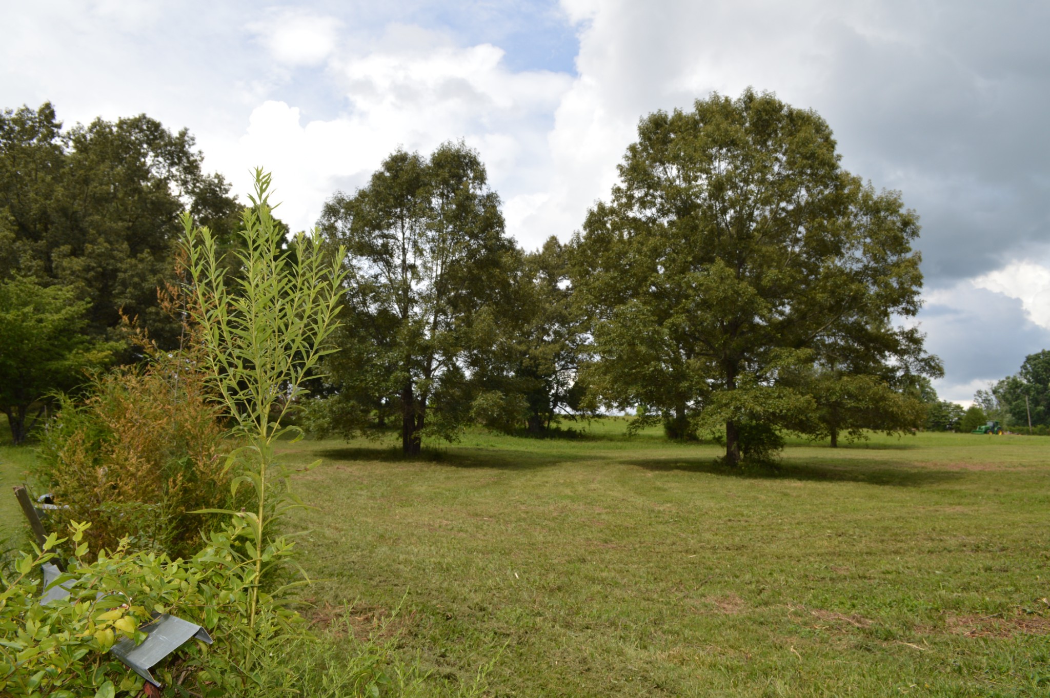 391 South Road Cottontown, TN 37048 - Photo 4 of 5 Gallery Image 4