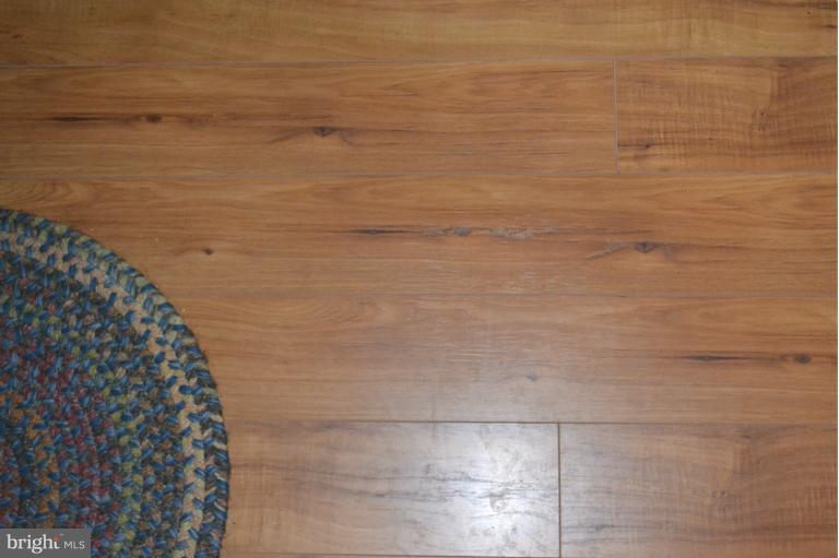 801 Racine School Road Elkton, MD 21921 - Photo 21 of 30 Flooring in living room, hall and master bedroom