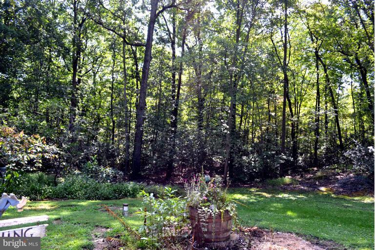 801 Racine School Road Elkton, MD 21921 - Photo 27 of 30 Treed Lot provides Lovely Setting