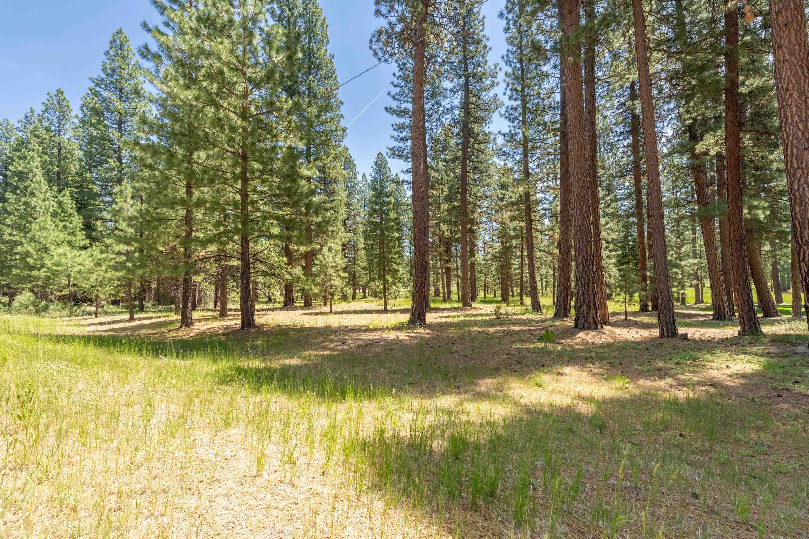 97 Main Street Calpine, CA 96124 - Photo 45 of 46