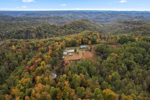an aerial view of residential houses with outdoor space and trees