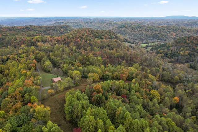 an aerial view of residential houses with city view