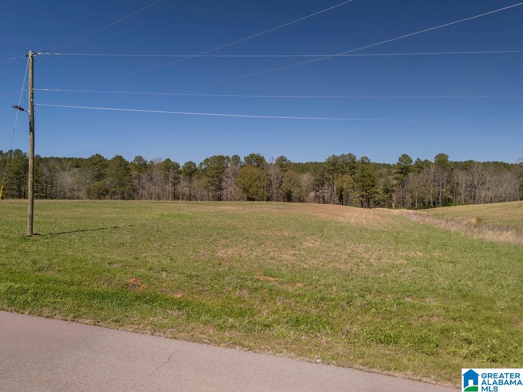 Bluegrass Lane, Unit 11 Jasper, AL 35503 - Photo 2 of 38