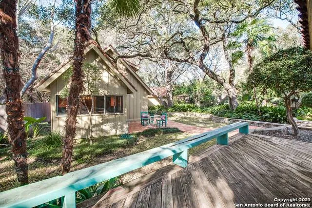 a view of a yard with plants and trees