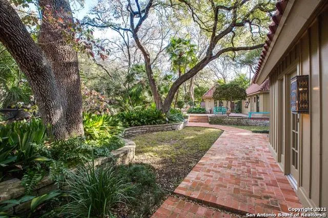 a view of a yard with plants and trees