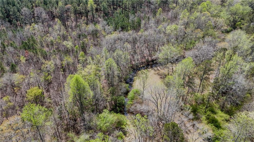0 Cross Plains Hulett Road Carrollton, GA 30116 - Photo 4 of 11